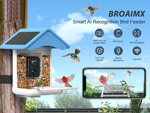 Bird Buddy Smart Feeder with Solar Roof – MoMA Design Store