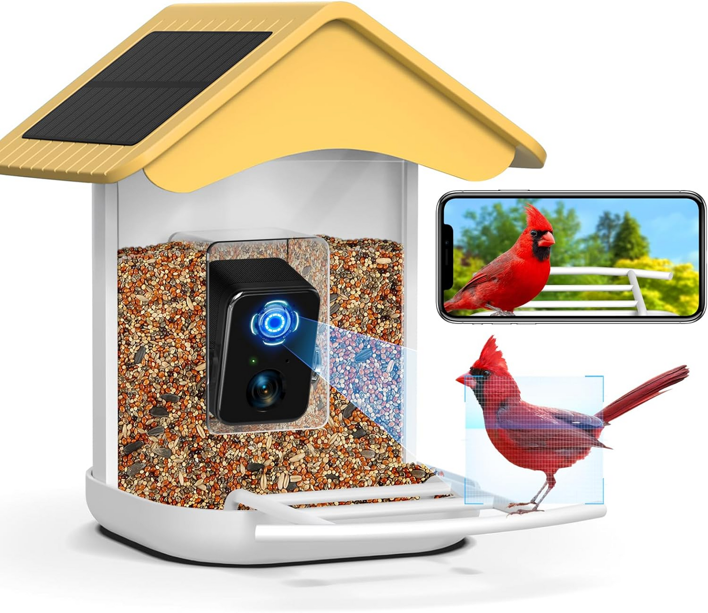 Smart Bird Feeder Camera, Free AI Forever, 1080P HD Camera Auto Capture Bird Videos & 2 Pcs Solar Panel, App Notify When Birds Detected, 32G High-Speed TF Card