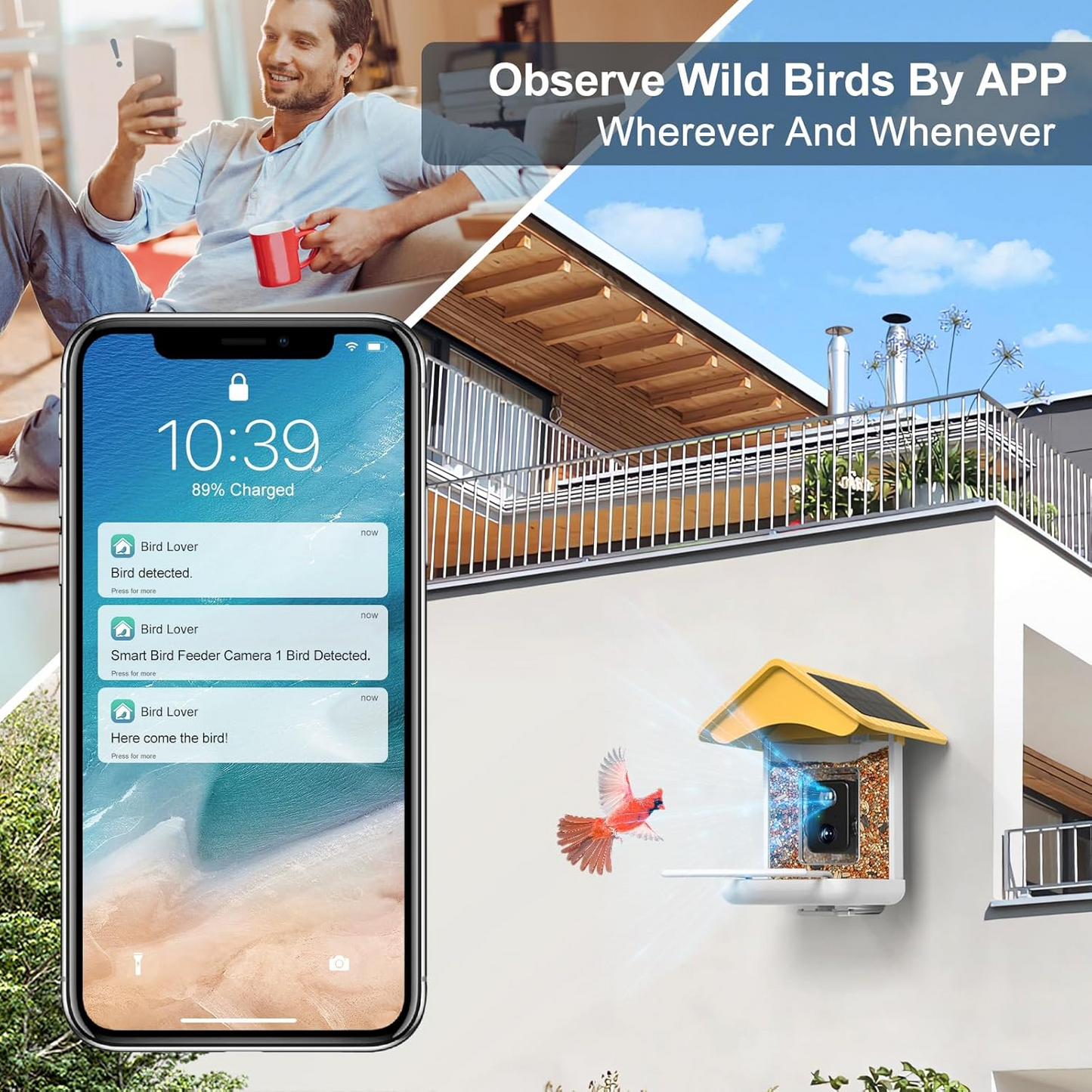 Smart Bird Feeder Camera, Free AI Forever, 1080P HD Camera Auto Capture Bird Videos & 2 Pcs Solar Panel, App Notify When Birds Detected, 32G High-Speed TF Card