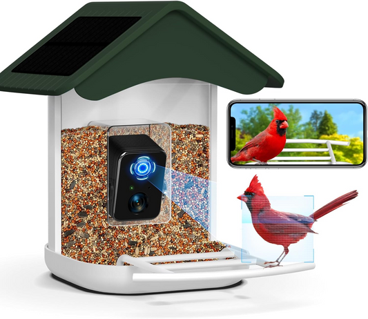 Smart Bird Feeder Camera, Free AI Forever, 1080P HD Camera Auto Capture Bird Videos & 2 Pcs Solar Panel, App Notify When Birds Detected, 32G High-Speed TF Card