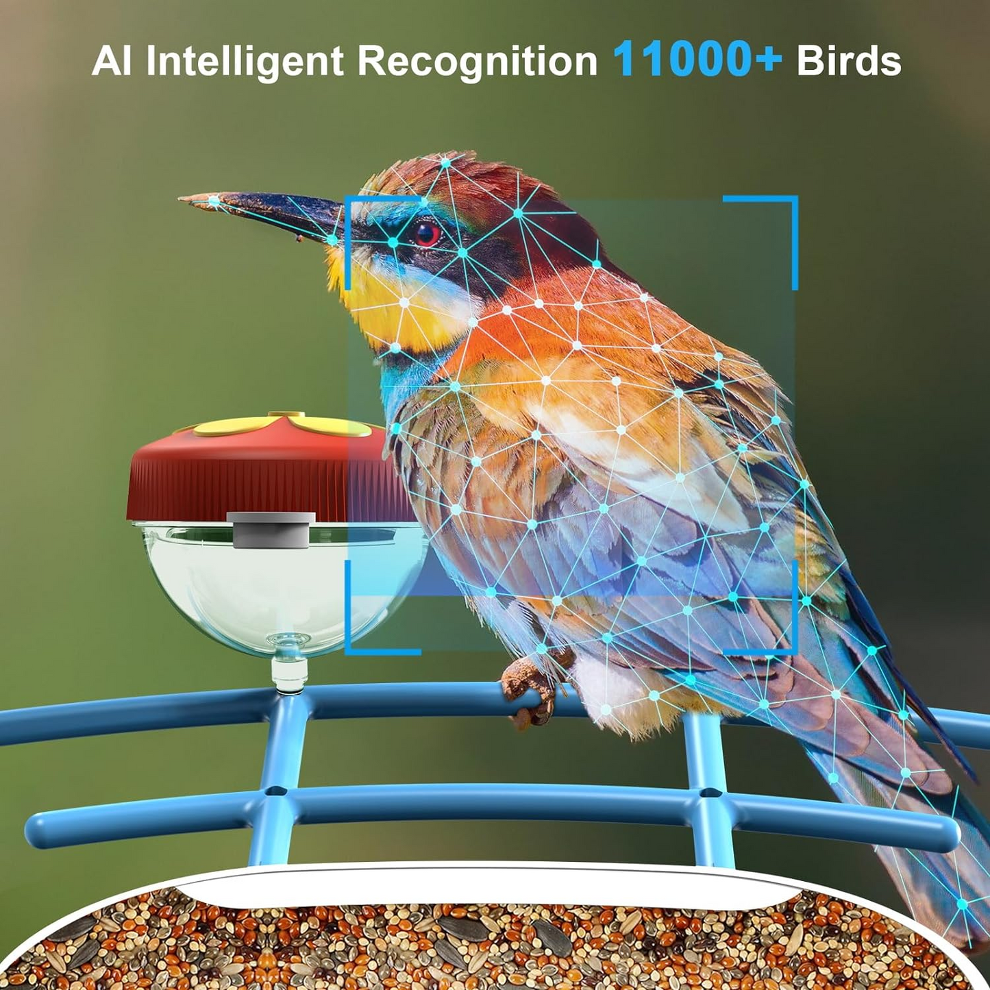 Smart Bird Feeder with Camera, AI Identify 11000+ Bird Species, Bird Watching Camera, Auto Capture Bird Videos & APP Instant Notifications, Bird House with Built-in Two-Way Microphone