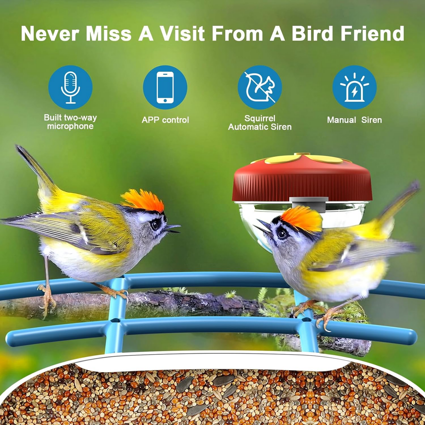 Smart Bird Feeder with Camera, AI Identify 11000+ Bird Species, Bird Watching Camera, Auto Capture Bird Videos & APP Instant Notifications, Bird House with Built-in Two-Way Microphone