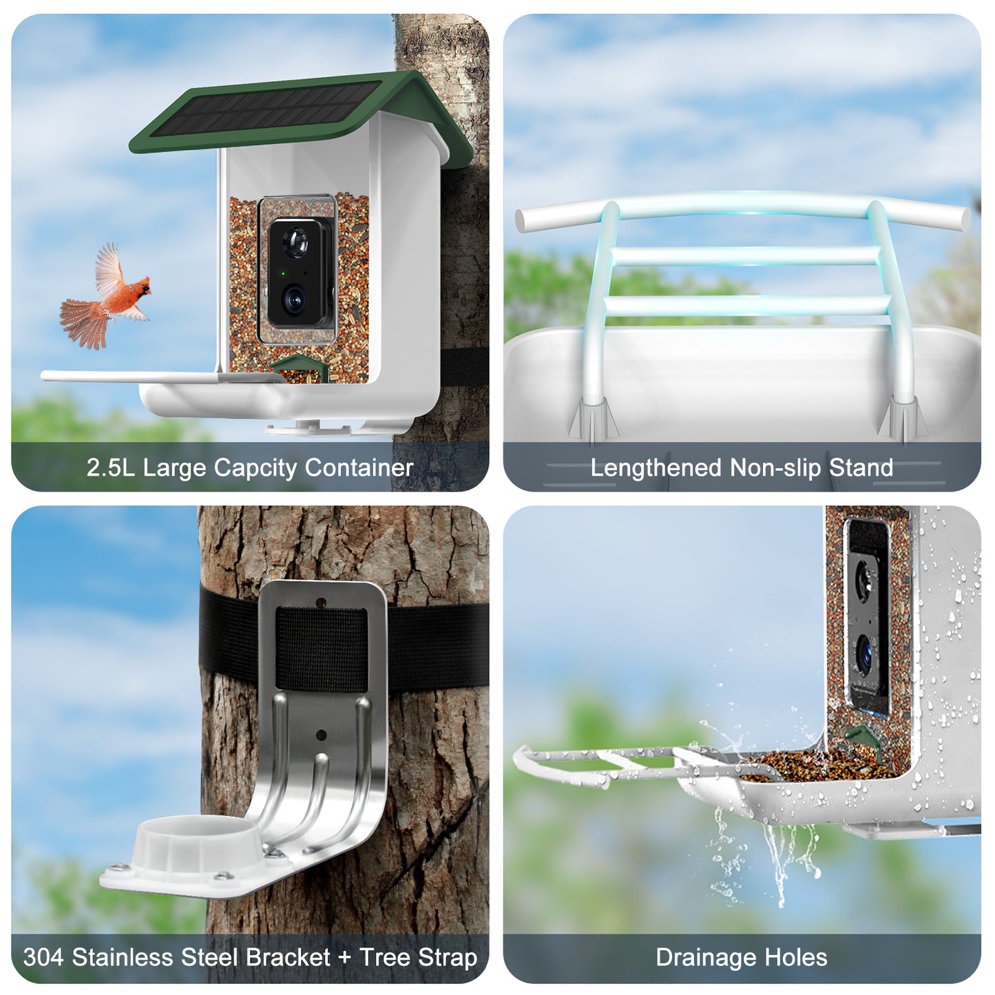 Smart Bird Feeder Camera With Camera, Free AI Forever (Green)