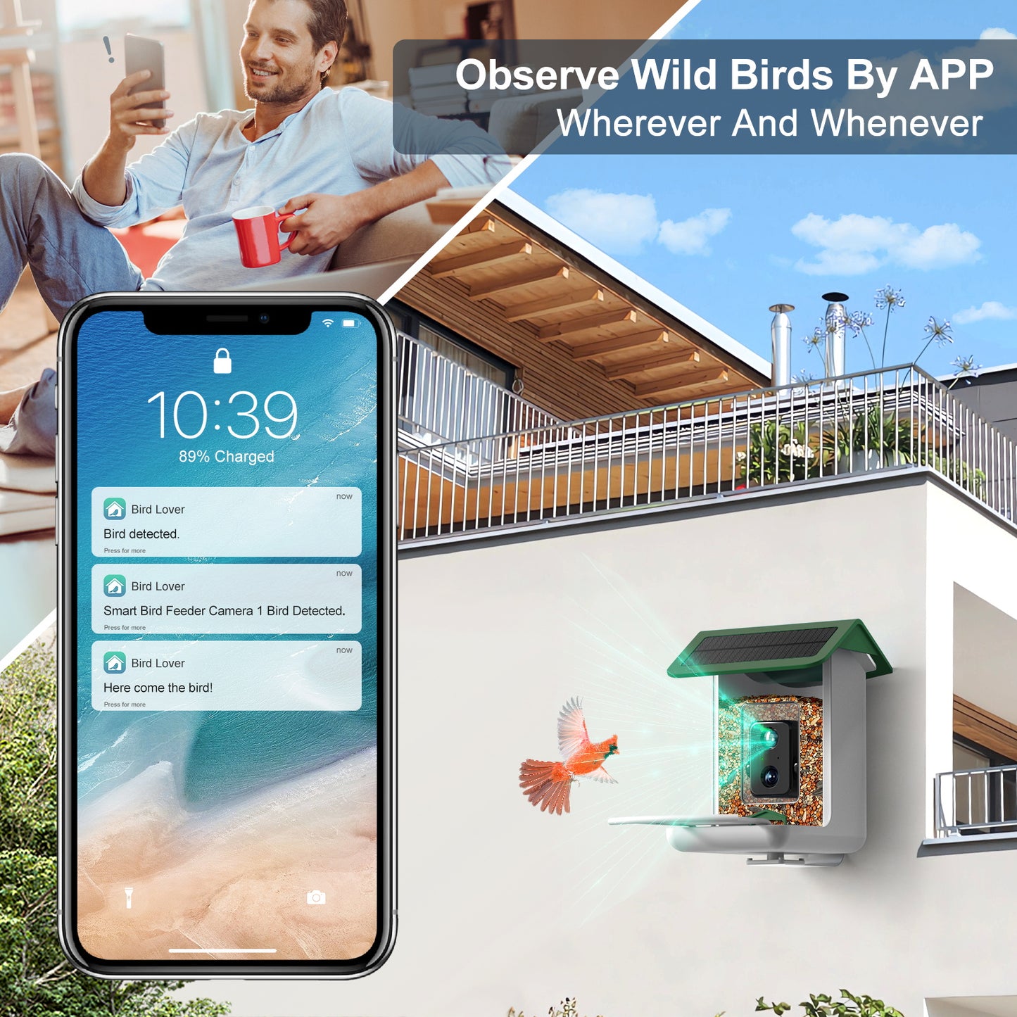 Smart Bird Feeder Camera With Camera, Free AI Forever (Green)